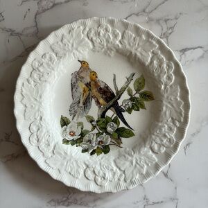 Vintage ( 1930-1950)  Carolina Turtle Dive Plate by National Audubon Society